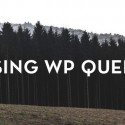 Understanding & Using WP Query